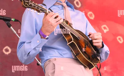 Chris Thile
